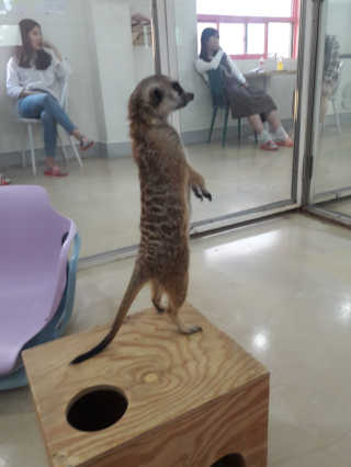 빵희님이 올린 리뷰 사진 4