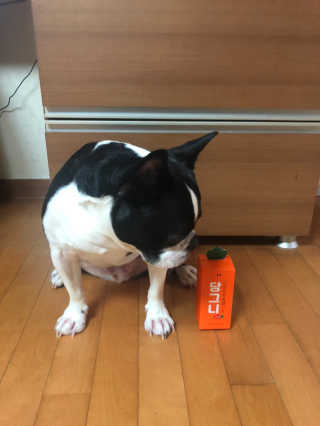 또용님이 올린 리뷰 사진 3