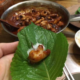 맵꾸미 쭈꾸미볶음 450g — 5점을 준 리뷰어가 2019년 9월 올린 사용 사진