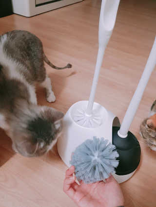창신리빙 [프랑코 변기 클리너 세트] 똑똑한 정리 수납 — 3점을 준 리뷰어가 2019년 6월 올린 사용 사진