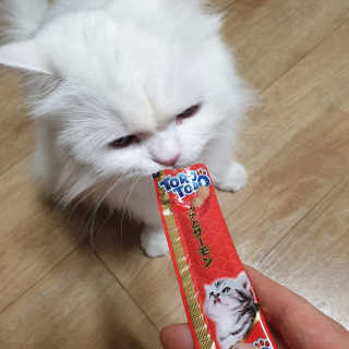 영니님이 올린 리뷰 사진 4