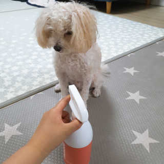 주여니이님이 올린 리뷰 사진 3