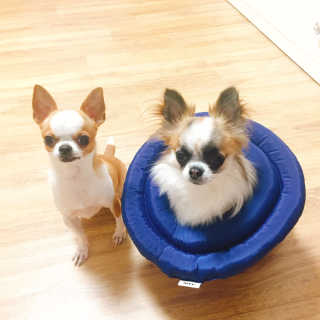 JaeEunLim님이 올린 리뷰 사진 1