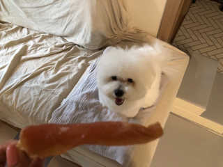 BADA님이 올린 리뷰 사진 1