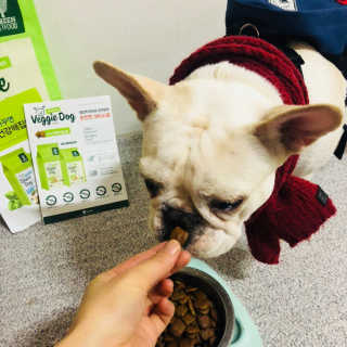 불독키우는개엄마❤️님이 올린 리뷰 사진 3