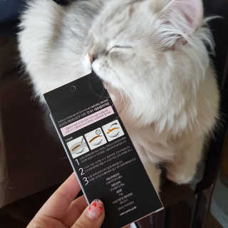 Hyojician님이 올린 리뷰 사진 2