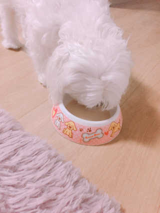 리본님이 올린 리뷰 사진 1
