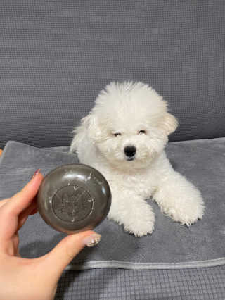 kmakmsss님이 올린 리뷰 사진 3