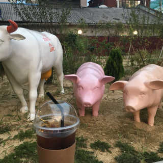 뚜야님이 올린 리뷰 사진 3