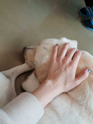 Lamant님이 올린 리뷰 사진 1