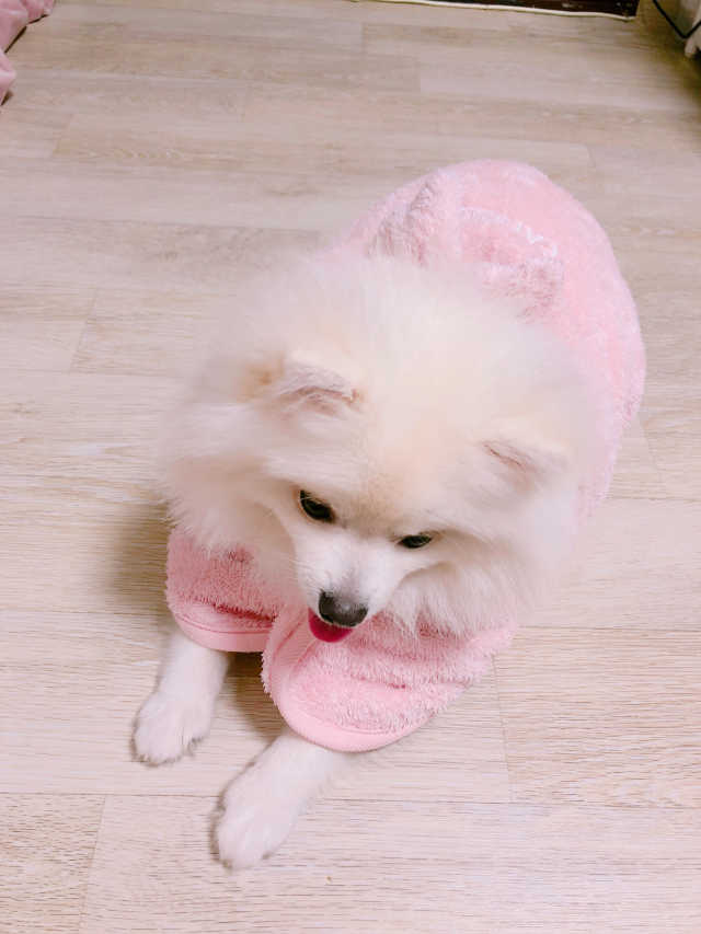 물먹는 목욕 가운 리뷰 사진