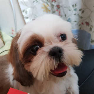 초코곤듀님이 올린 리뷰 사진 3