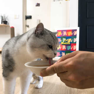 라님이 올린 리뷰 사진 1