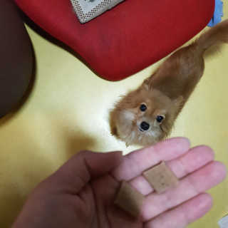 Rushx님이 올린 리뷰 사진 2