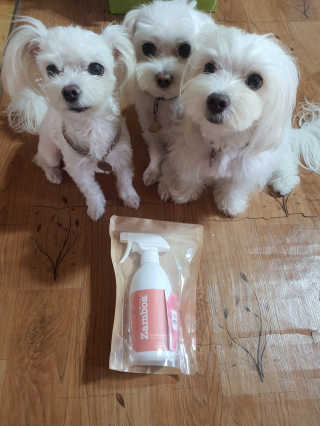 공팔리터님이 올린 리뷰 사진 1