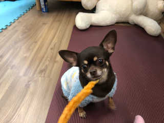 Kelly님이 올린 리뷰 사진 2