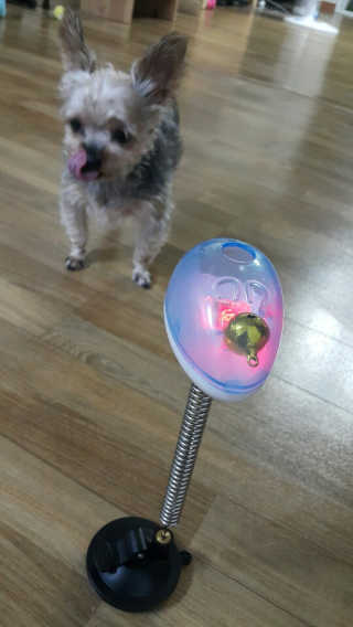 재키재키님이 올린 리뷰 사진 3