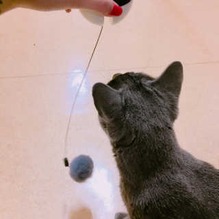 율집사님이 올린 리뷰 사진 1