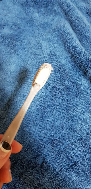 아라크리스 아라 크리스 프리미엄 내추럴 치약 — 5점을 준 리뷰어가 2018년 8월 올린 사용 사진