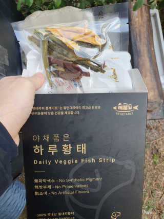 펫테라피 플레이트 야채품은 하루황태 — 4점을 준 리뷰어가 2020년 2월 올린 사용 사진