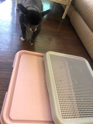 로레알님이 올린 리뷰 사진 3