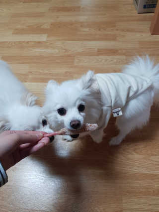 몰리엄마님이 올린 리뷰 사진 2