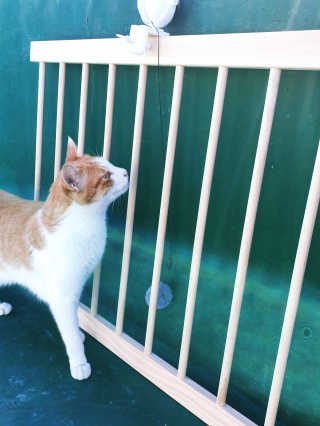 최정임님이 올린 리뷰 사진 2