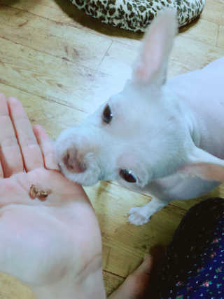 NaraLee님이 올린 리뷰 사진 1
