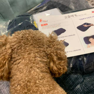 까사앤지오 요술베개 스페셜 에디션 — 5점을 준 리뷰어가 2020년 2월 올린 사용 사진