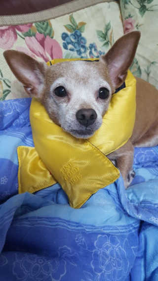 유진오님이 올린 리뷰 사진 4
