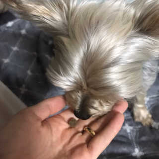 다희님이 올린 리뷰 사진 2