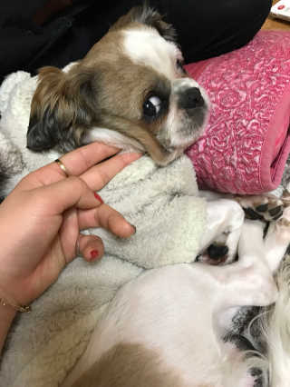 뚠희님이 올린 리뷰 사진 2
