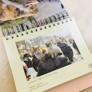 kkyung님이 올린 리뷰 사진 2