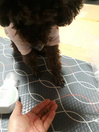 daily140517님이 올린 리뷰 사진 3