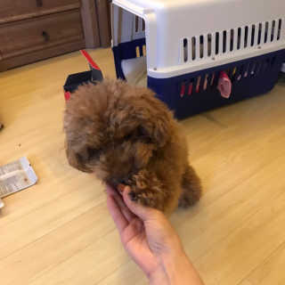 으나햐님이 올린 리뷰 사진 3