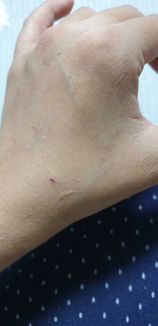 달려라하니님이 올린 리뷰 사진 4