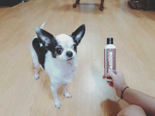 snoopy님이 올린 리뷰 사진 3