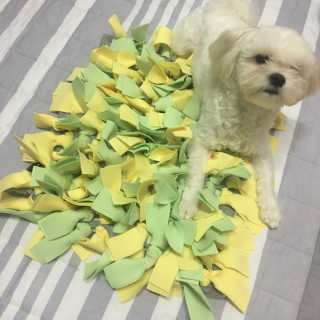 가닝님이 올린 리뷰 사진 2