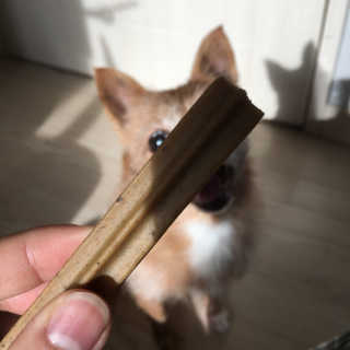LunaHayes님이 올린 리뷰 사진 3
