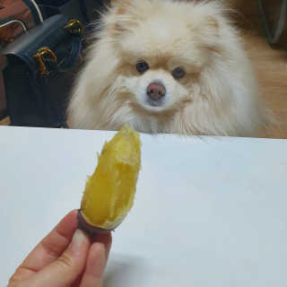 치리짱님이 올린 리뷰 사진 3