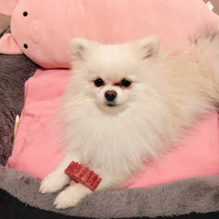 하랑님이 올린 리뷰 사진 2