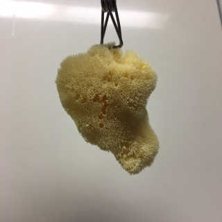 yumyum님이 올린 리뷰 사진 1
