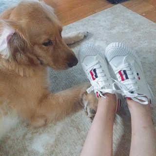 아보카도올리브님이 올린 리뷰 사진 1