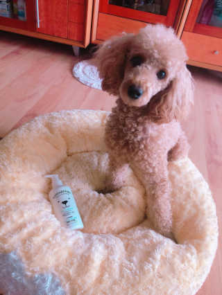 songyn님이 올린 리뷰 사진 1