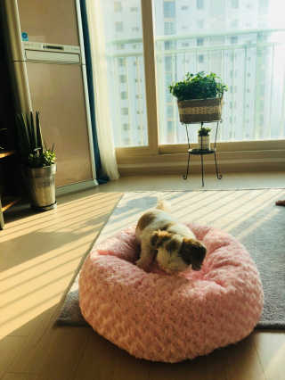 kayla님이 올린 리뷰 사진 3
