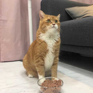 쏘뜬님이 올린 리뷰 사진 4