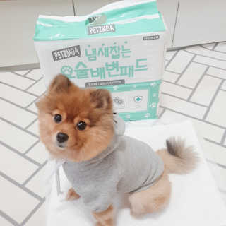 페츠모아 냄새잡는 요술배변패드 — 5점을 준 리뷰어가 2020년 3월 올린 사용 사진