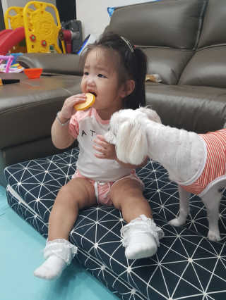 서우마마님이 올린 리뷰 사진 2