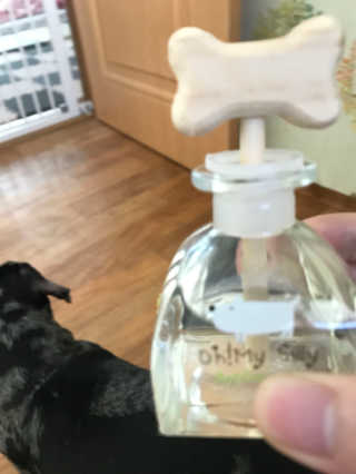오!마이실리 오마이실리 반려동물 디퓨저 — 5점을 준 리뷰어가 2017년 11월 올린 사용 사진