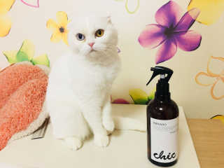 화이집사님이 올린 리뷰 사진 1